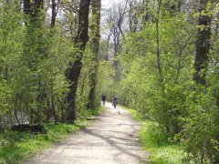 Grossansicht in neuem Fenster: Radfahren am Würmkanal