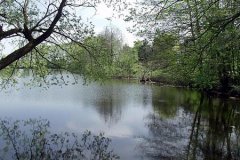 Grossansicht in neuem Fenster: Eichinger Weiher Grossansicht in neuem Fenster: Eichinger Weiher
