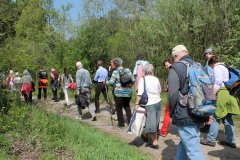 BayernTour Natur 2014 (3)