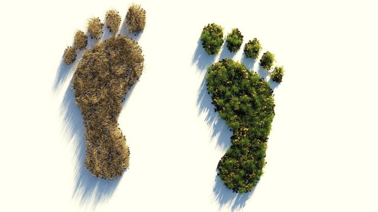 CO2-Fußabdruck CO2-Fußabdruck