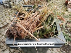 Bitte keine Gartenabfälle in die Restmülltonne! Bitte keine Gartenabfälle in die Restmülltonne!