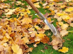Herbstlaub im Garten – wertvoll statt lästig Herbstlaub im Garten – wertvoll statt lästig