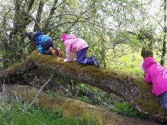 30 Jahre Engagement für Natur, Moor und Umweltbildung 30 Jahre Engagement für Natur, Moor und Umweltbildung