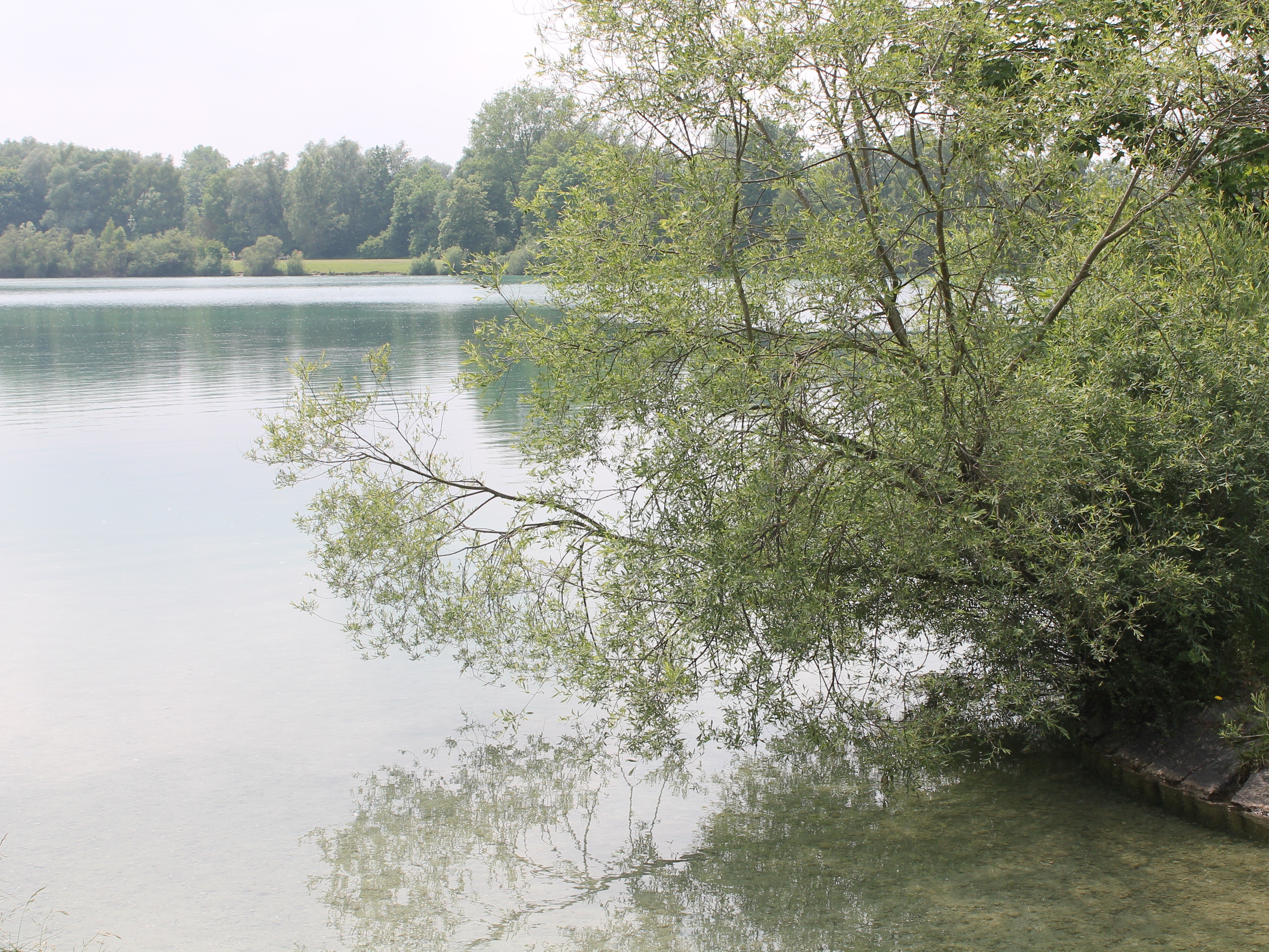 Digitale Parkraumüberwachung am Karlsfelder See